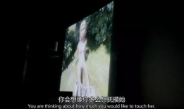 变态性爱视频,暗流涌动的网络隐秘世界