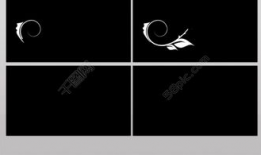 素材视频,一场视觉与情感的盛宴